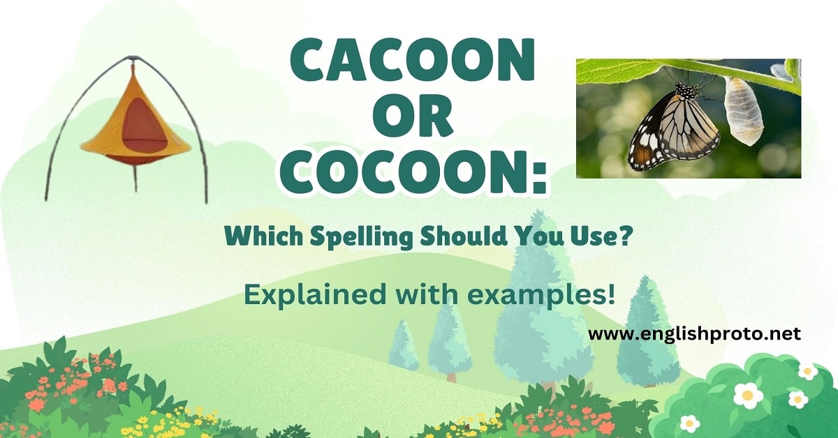 Cacoon or Cocoon Which Spelling Should You Use