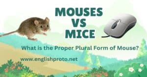 Read more about the article Mouses vs Mice: What is the Proper Plural Form of Mouse?