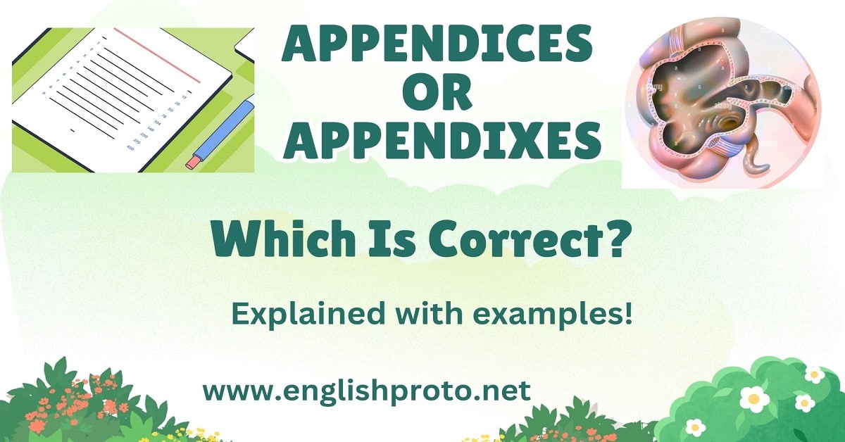 Appendices or Appendixes Which Is Correct