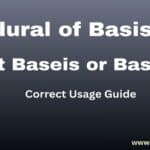 Plural of Basis: Is it Baseis or Bases? Correct Usage Guide