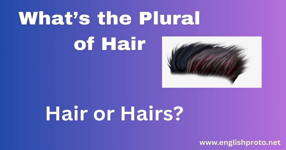You are currently viewing What’s the Plural of Hair — Hair or Hairs?